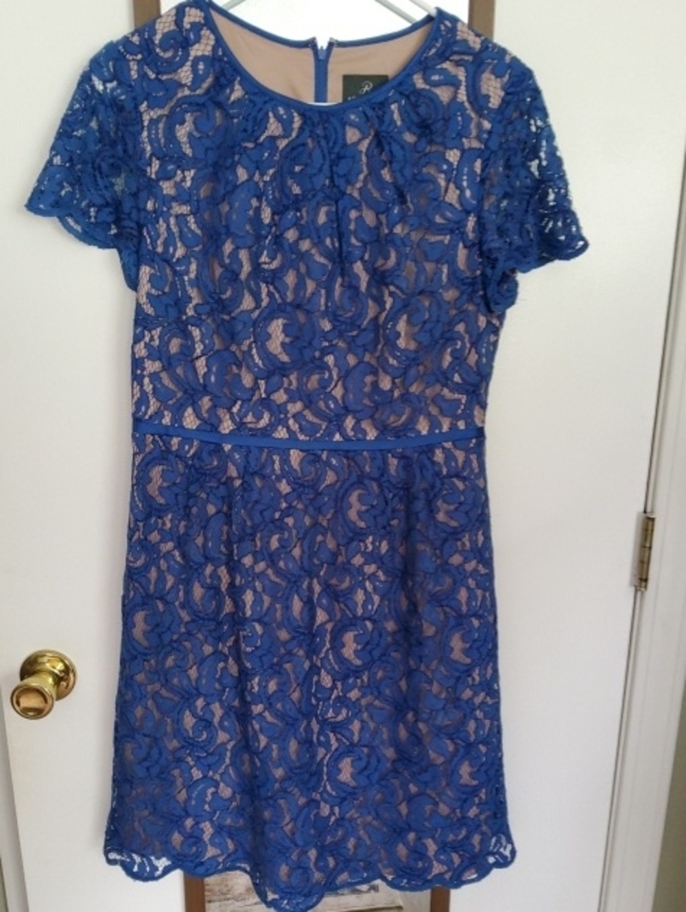 Adrianna Papell Royal Blue Lace Midi Dress SIZE 10